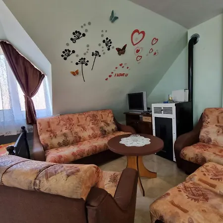 Studio Kiki In The Center アパート *